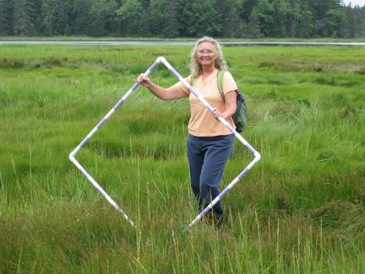 Nanette in Bass Harbor marsh