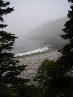 Cobblestone beach in fog