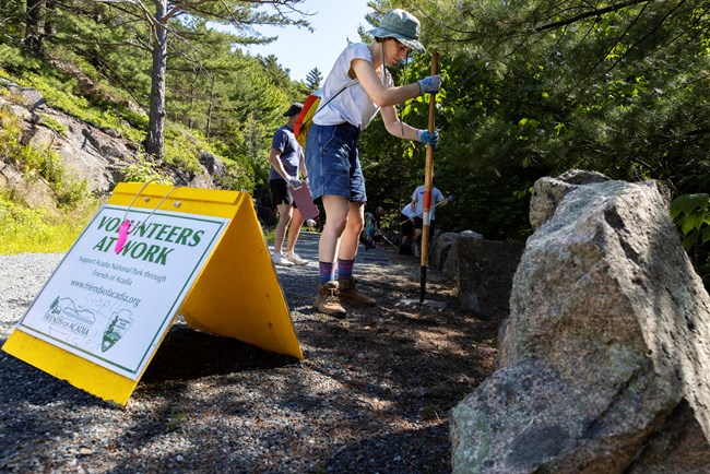 group of volunteers working on clearing vegetation in front of a Volunteers at Work sign