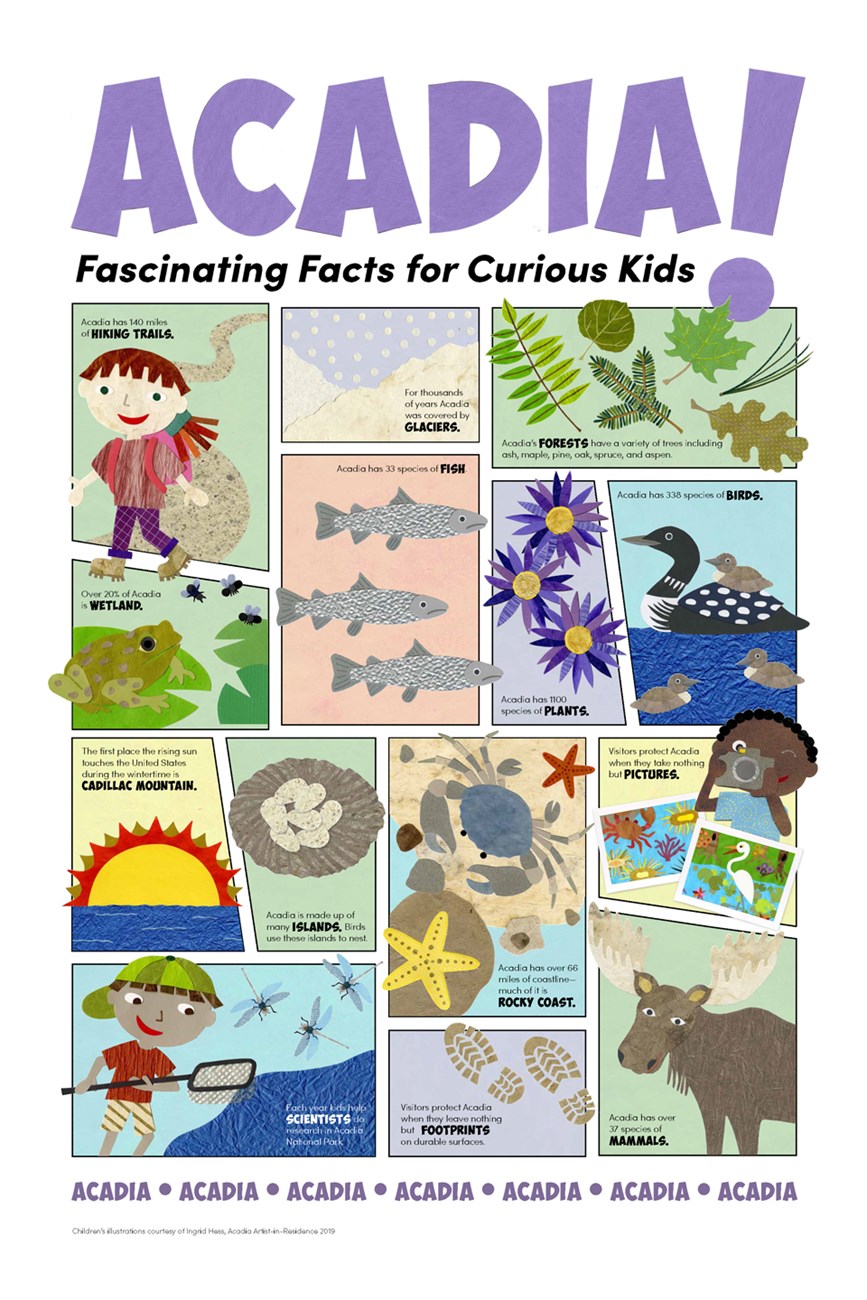 Children's illustration with facts about Acadia