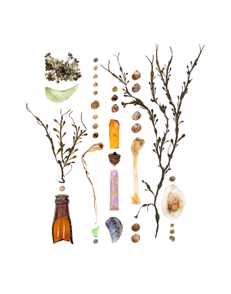 Photograph of items collected temporarily during a walk along North Atlantic coastline Photograph of items collected temporarily during a walk along North Atlantic coastline
