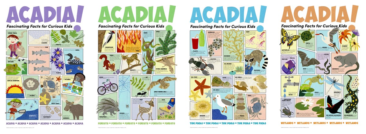 Composite image of four posters for children about Acadia