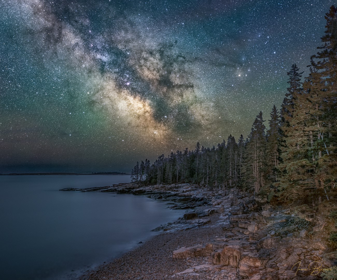 Fine art photo of an ocean cove lined with trees at night