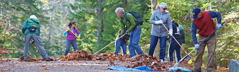 People dressed in jackets and hats rake leaves out of ditches running along either side of a gravel road.