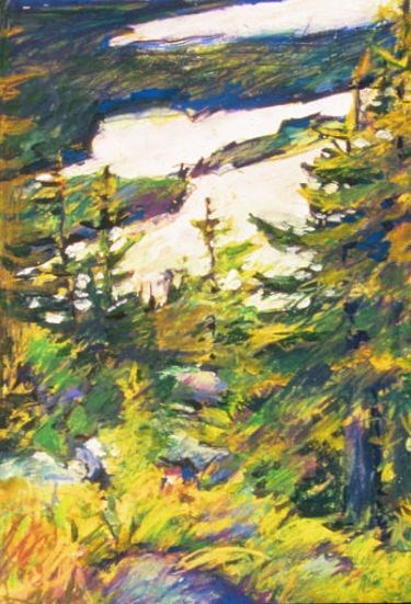 Impressionistic portrait of a forest scene. Spruce and Pine trees in the foreground with water in the distance.