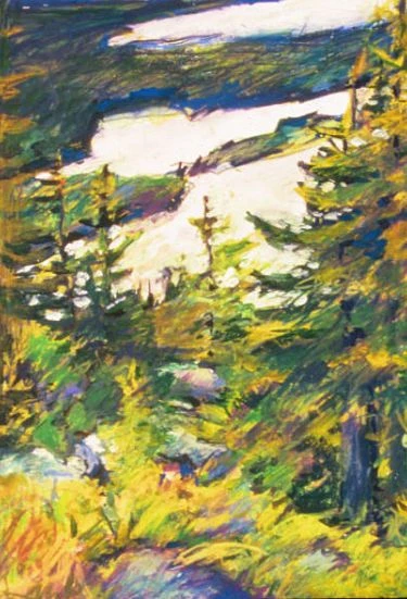 From Beech Mountain Impressionistic portrait of a forest scene. Spruce and Pine trees in the foreground with water in the distance.