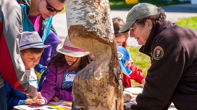 A volunteer leans over a table, wearing a brown NPS volunteer fleece jacket to talk to a couple of children. A segment of a birch tree sits on the table with beaver chew marks on it.