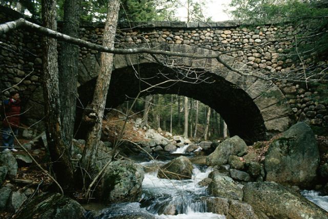 Stone bridge over a creek in dense forest