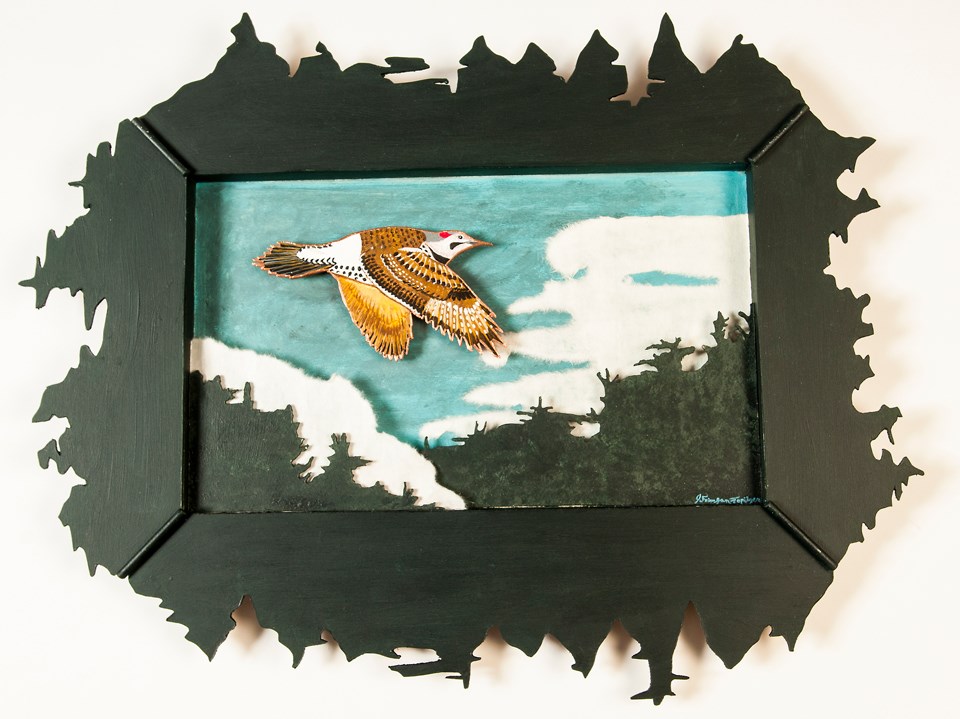 Shadowbox art featuring a Flicker bird inside