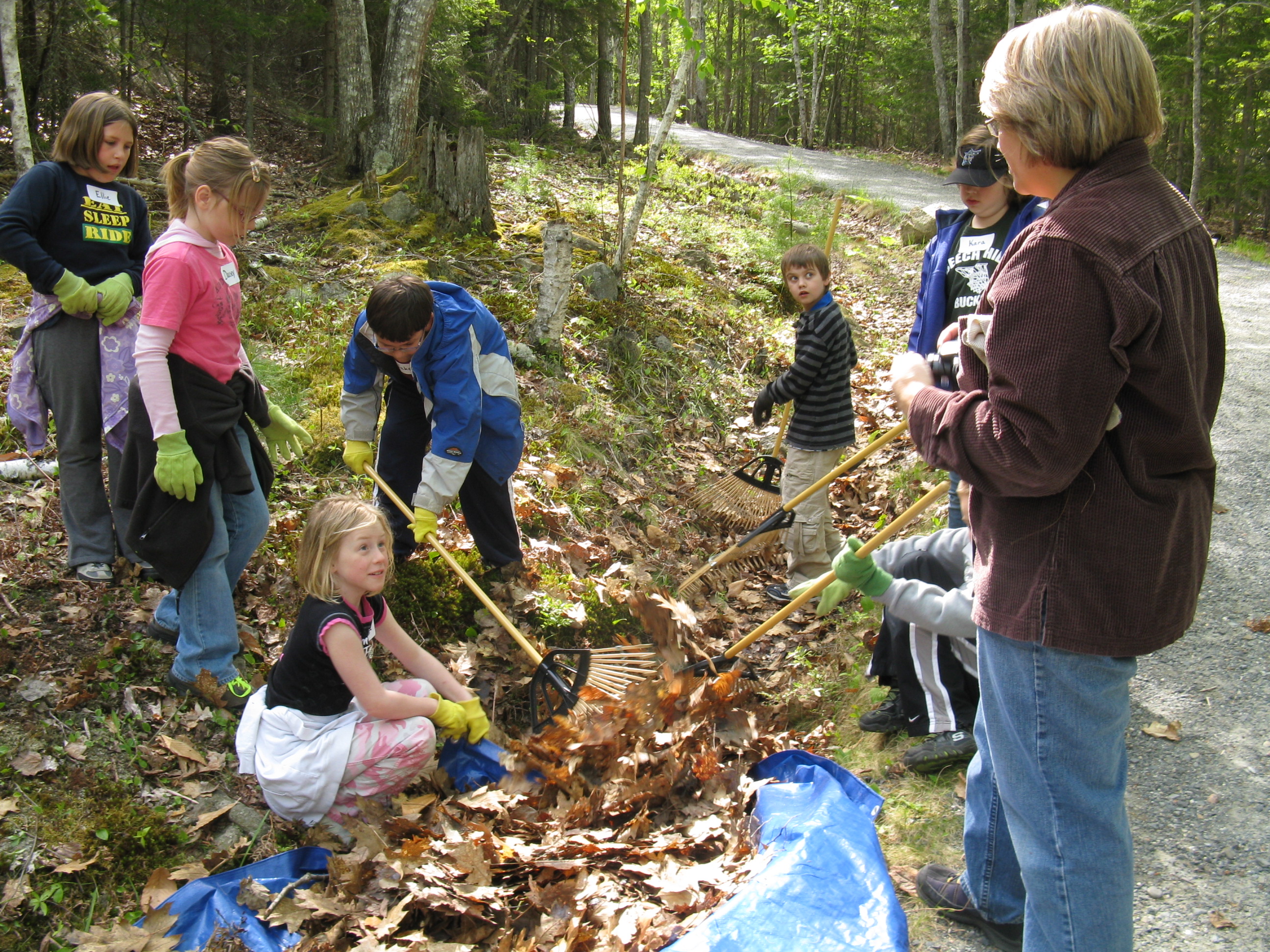 6 kids and teacher raking leaves