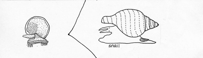 snails and larvae hand drawn image