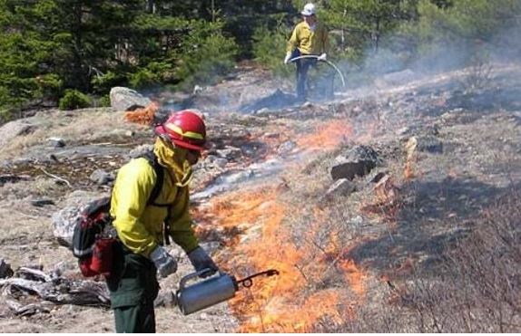men in yellow fire shirts laying fire on the landscape with tools