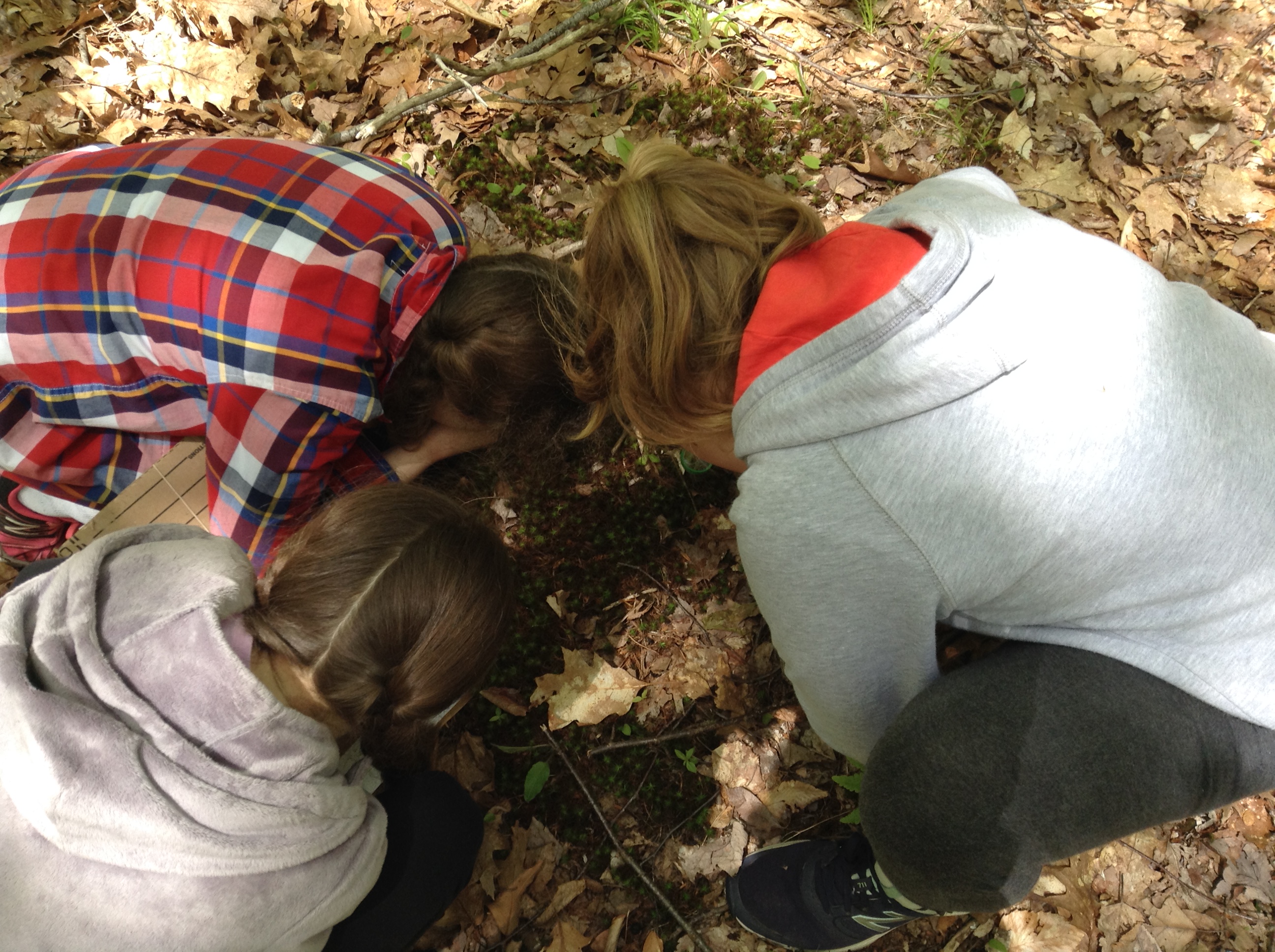 3 students grouched in leaves looking for insects