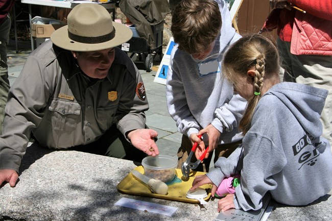 Ranger demonstrating seed dispersal of acorns while kids use tools