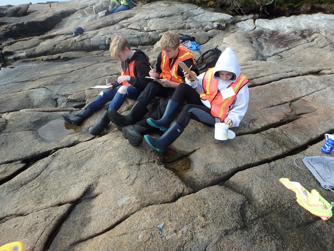 Three students in bright orange vests sitting on the rocky coastline