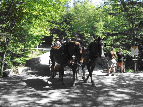 A carriage ride on the carriage roads