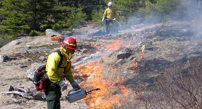 Prescribed Burn Prescribed Burn