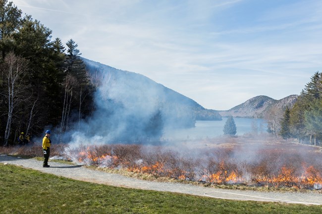 A firefighter stands on a gravel walkway in front of a flaming acre field. Jordan Pond is viewable in the background.