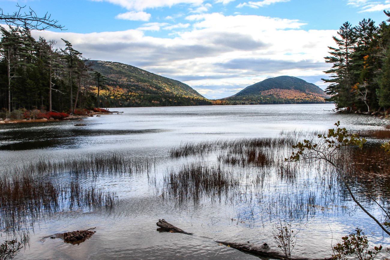 Lake surrounded by forest and small mountains