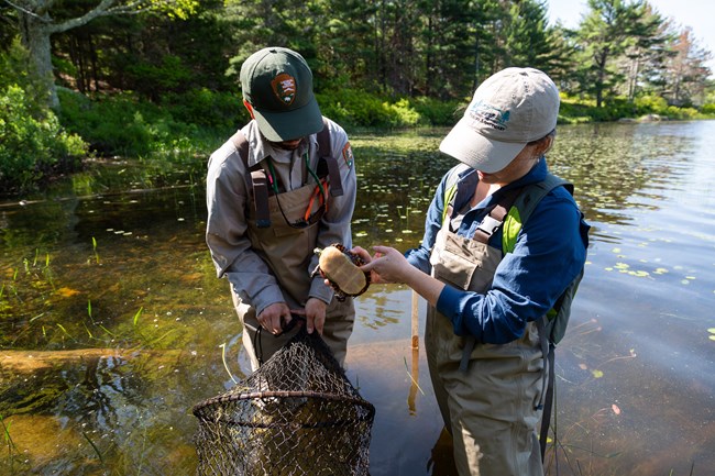 Two researchers standing in a pond holding a turtle