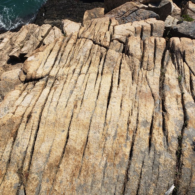 Granite rock along Otter Cliffs is scarred with deeply cut lines from glacial movement.