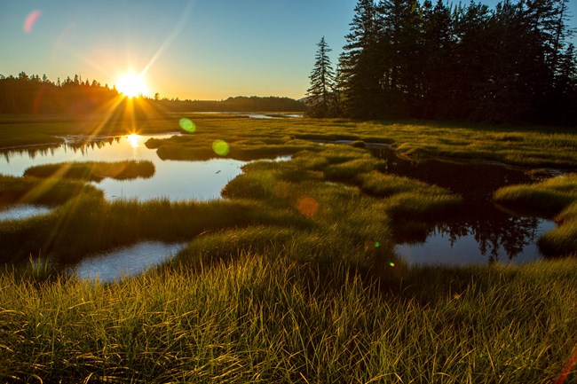 sunset reflected over green grass and stream