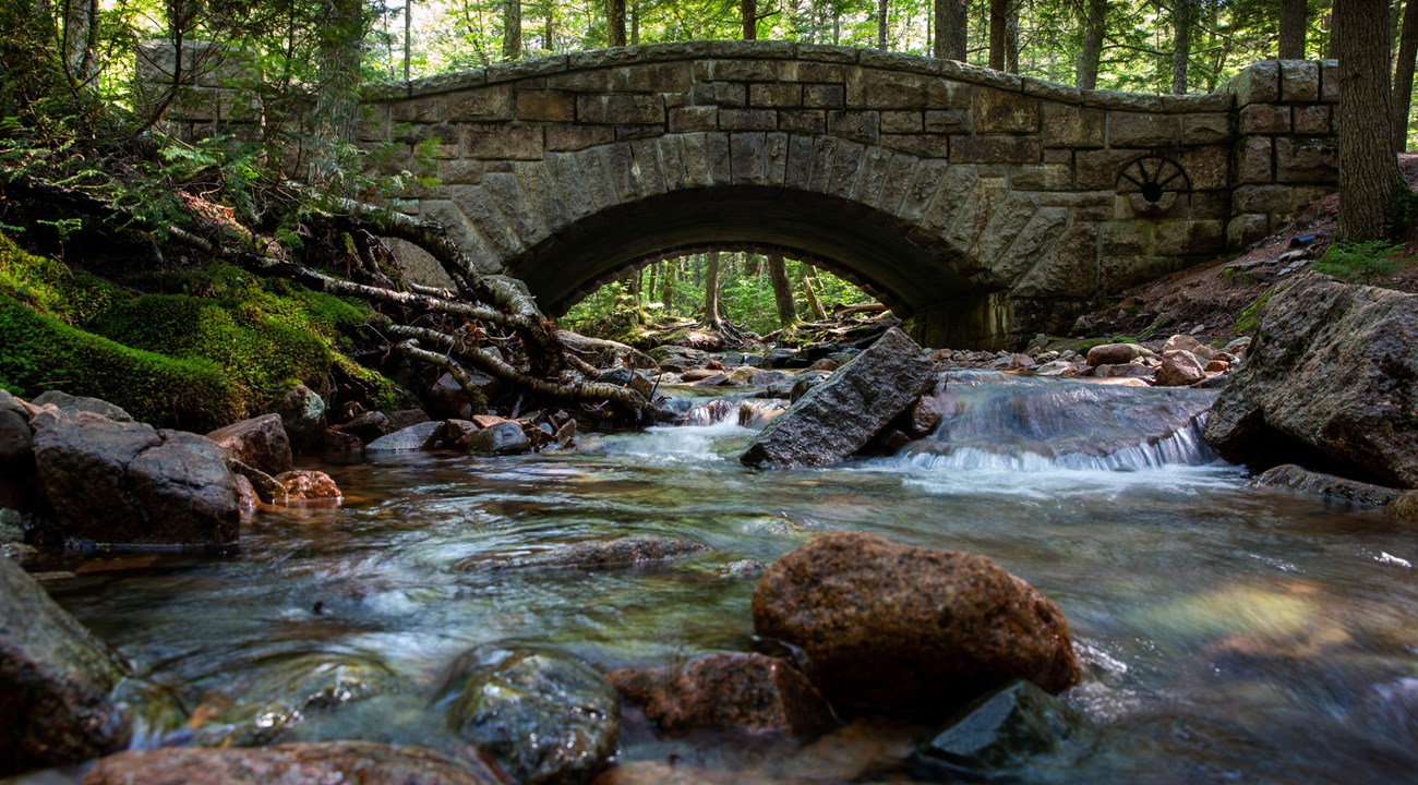 a stone arch bridge over a rocky wooden stream