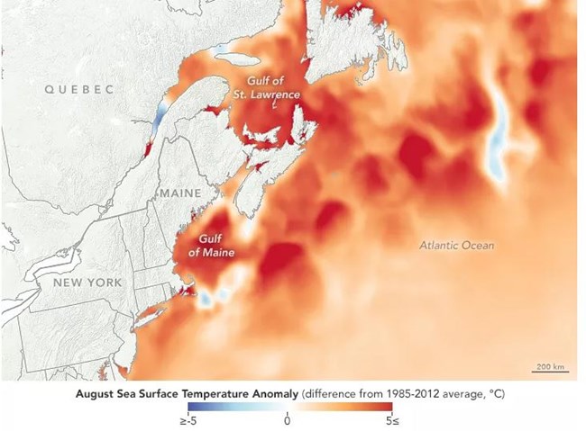 map of the east coast showing red where ocean waters are warming