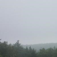 A poor visibility day at Acadia NP