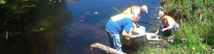 Collecting specimens in water. Collecting specimens in water.
