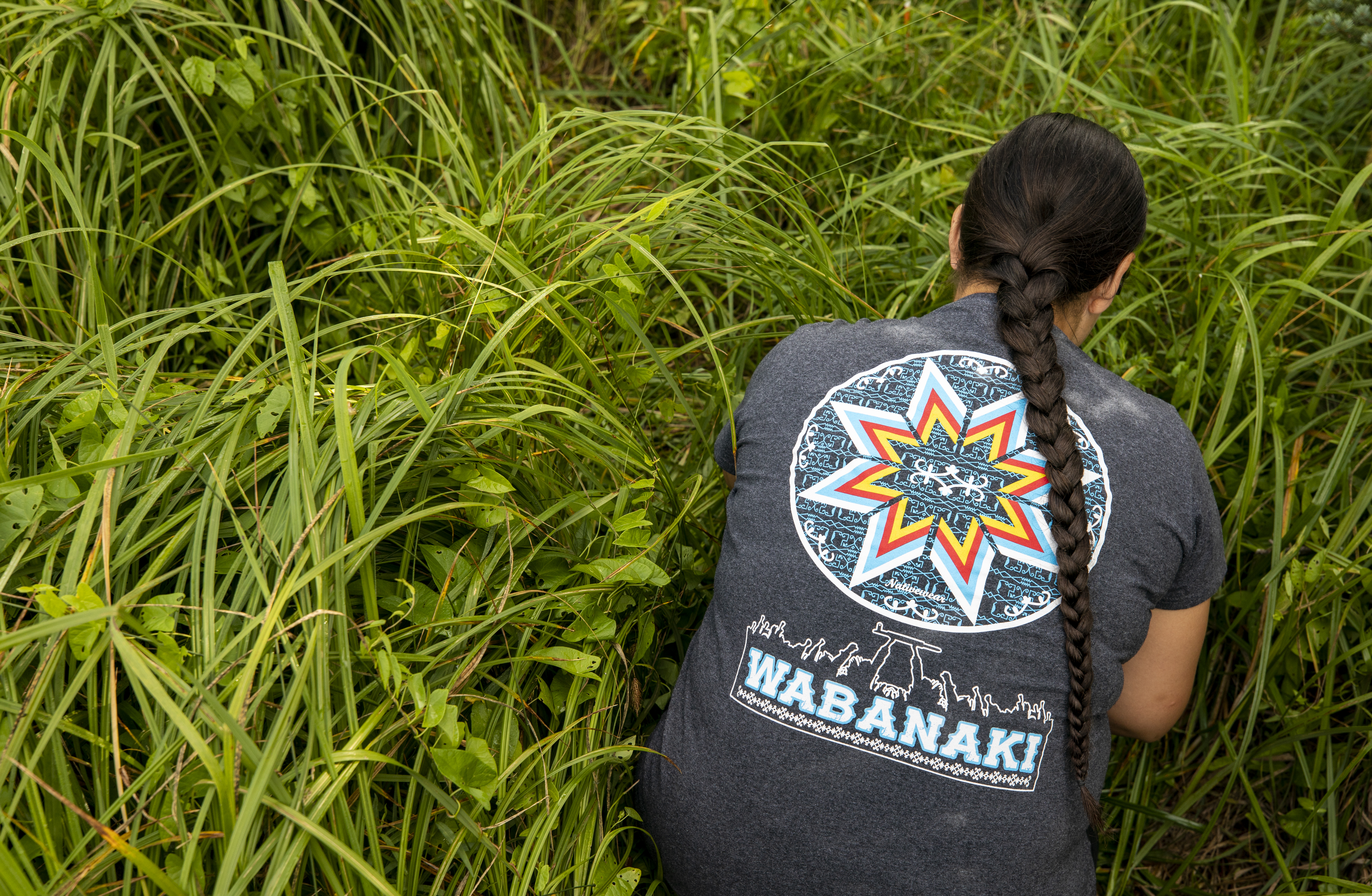 Sweetgrass Harvest Bass Harbor Marsh Individual wearing a shirt that reads "Wabanaki" harvests sweetgrass.