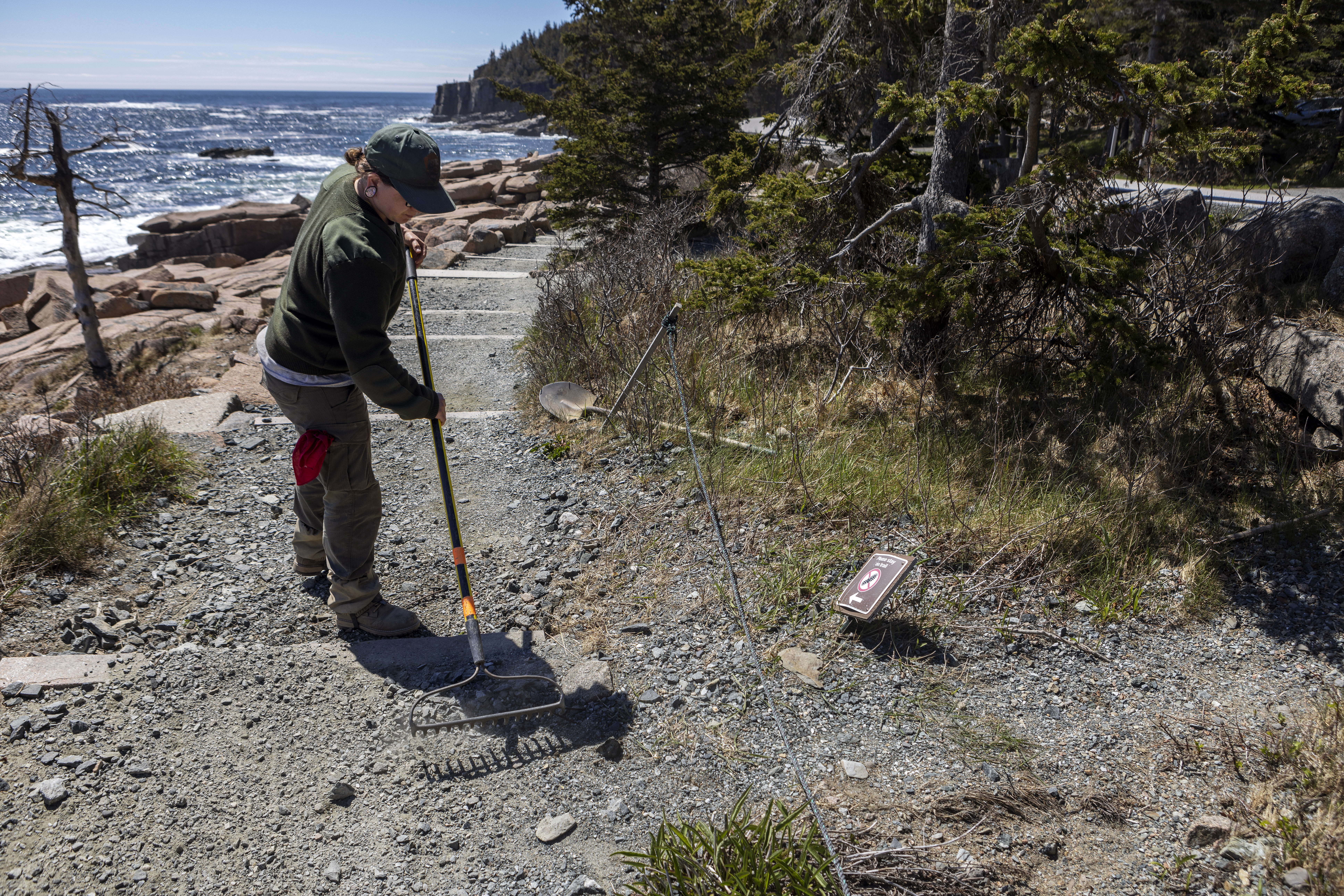 Trail worker helps level a trail by the ocean.