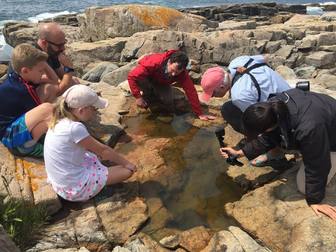 A group of people study a pool of water on rocky coastline