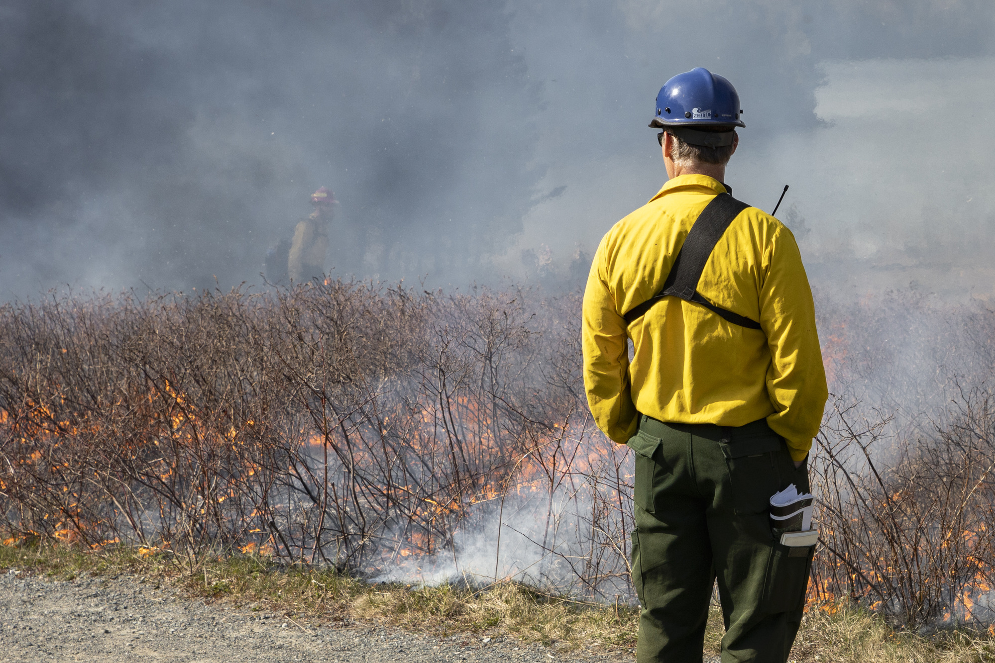 Firefighter in yellow gear and blue helmet monitors controlled brush fire with smoke rising around.