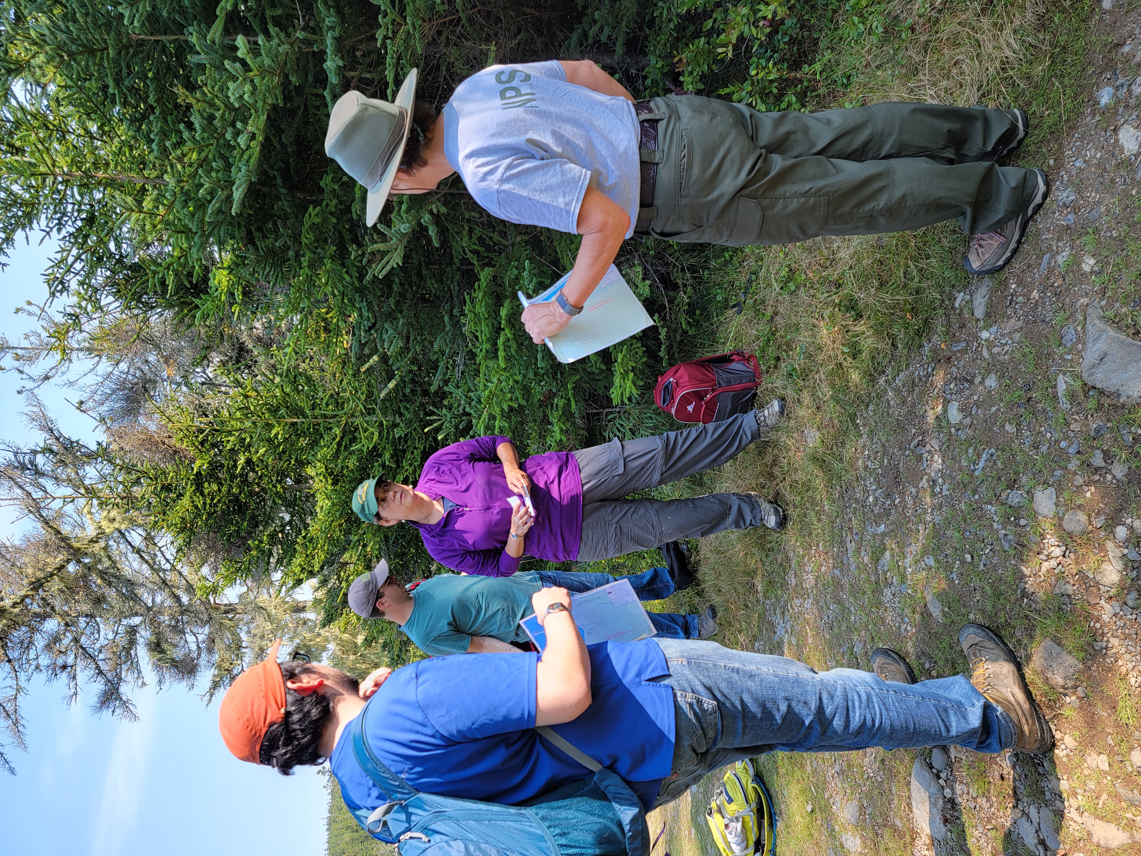 Individuals talking with NPS staff in a wooded coastal area