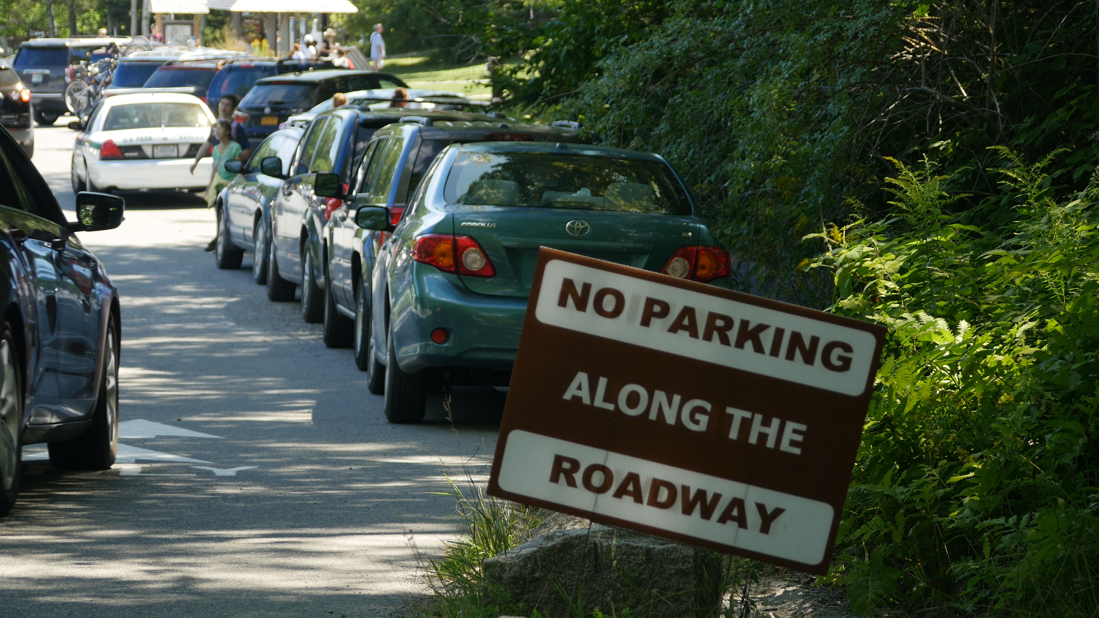 Shady roadside with no parking sign and a row of parked cars beyond it