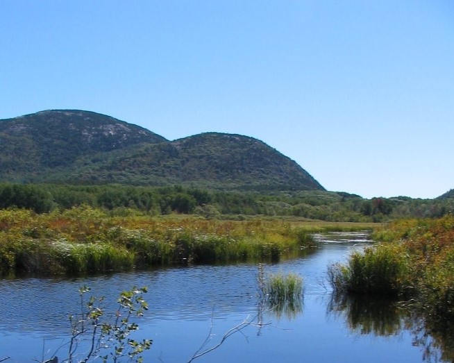 Great Meadow Cropped Flooded meadow with mountains in the background
