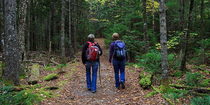 Walking trails