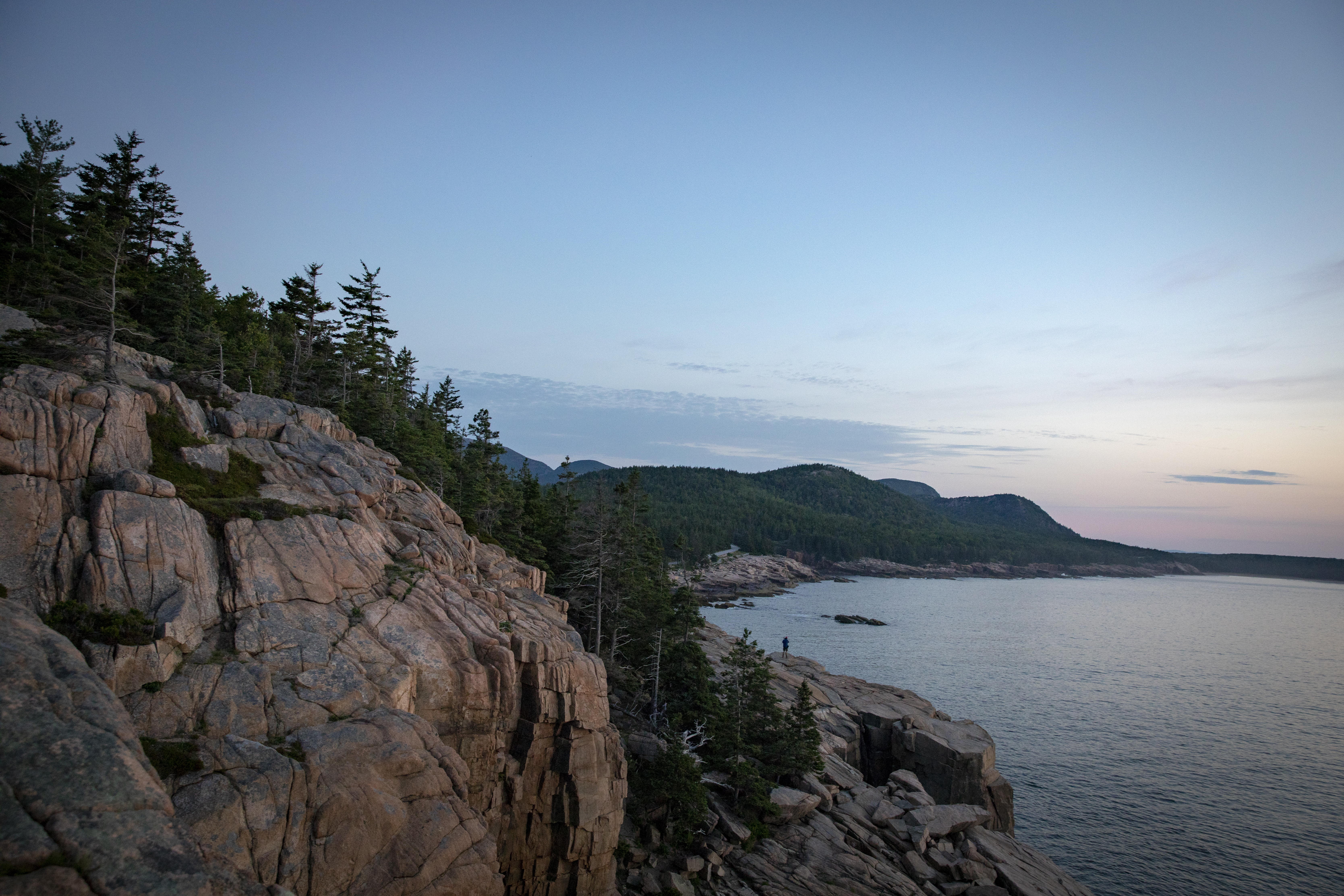 Landscape photograph depicting rocky cliffs towering above the Atlantic Ocean. Pine trees rest along the top of the cliffs.