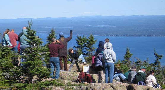 Group searches for hawks above Cadillac Mountain.