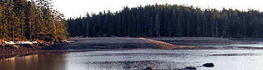 Salt marsh during high tide