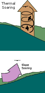 Thermal Diagrams