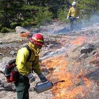 Prescribed Burn