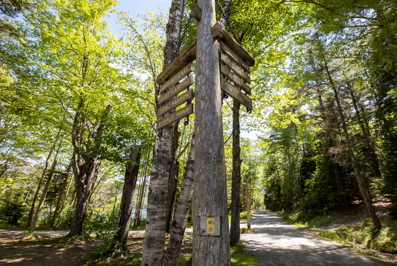 Wooden sign post with place names on a carriage road