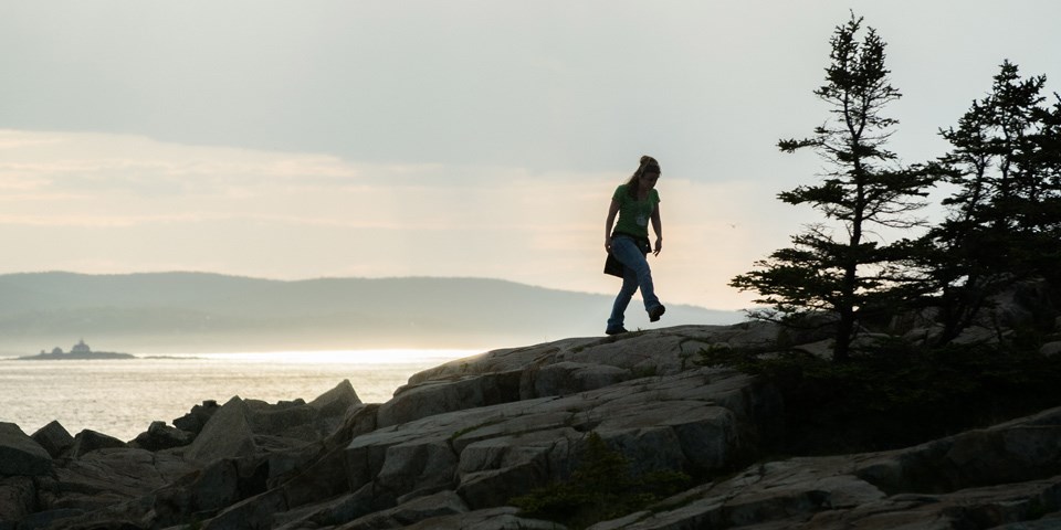 Image result for maine island trail
