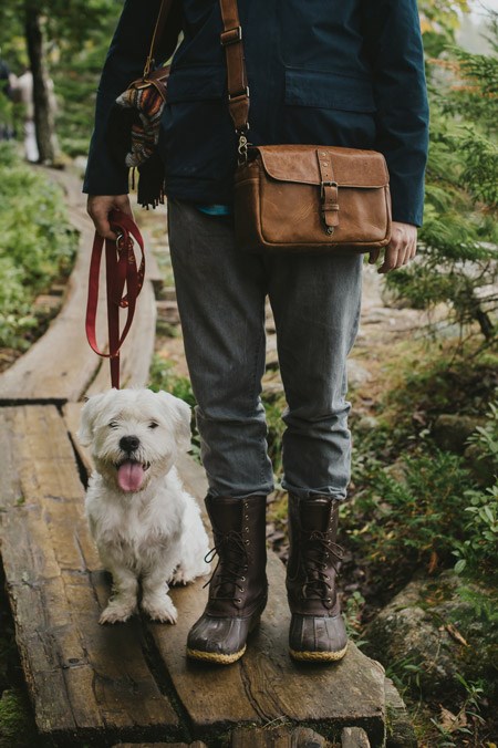 Small white dog sits on wooden trail boardwalk with leash held by human companion Small white dog sits on wooden trail boardwalk with leash held by human companion