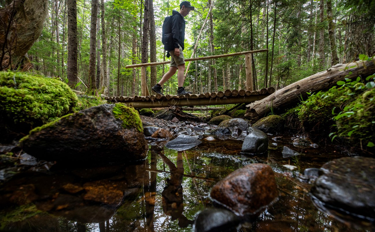 Person walking on a wooden bridge over a stream