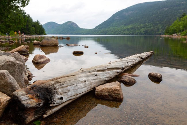 A log and rocks reflecting in a pond