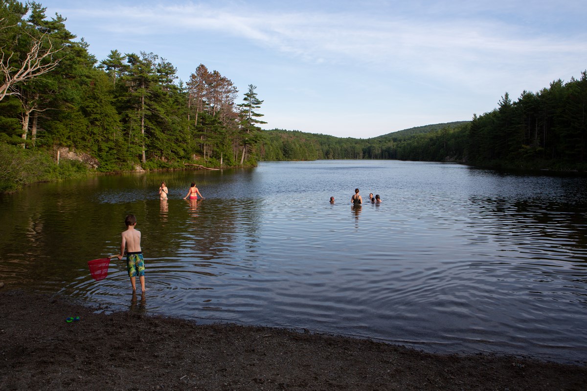 People swimming in a lake with small beach area