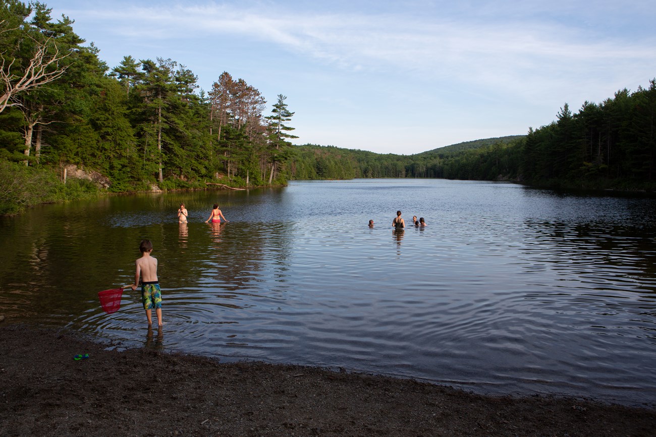 People swim in a lake with small beach area